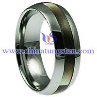 Shell Tungsten Carbide Ring Picture