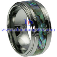 Shell Tungsten Carbide Ring Picture