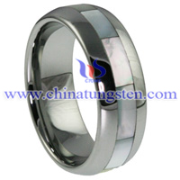 Shell Tungsten Carbide Ring Picture