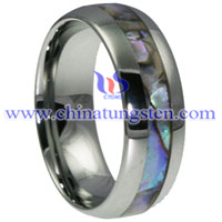 Shell Tungsten Carbide Ring Picture